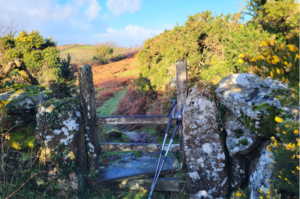 Two Bridges CP (opposite Two Bridges Hotel)