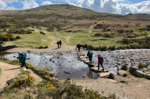 From Four Winds Car Park, Dartmoor